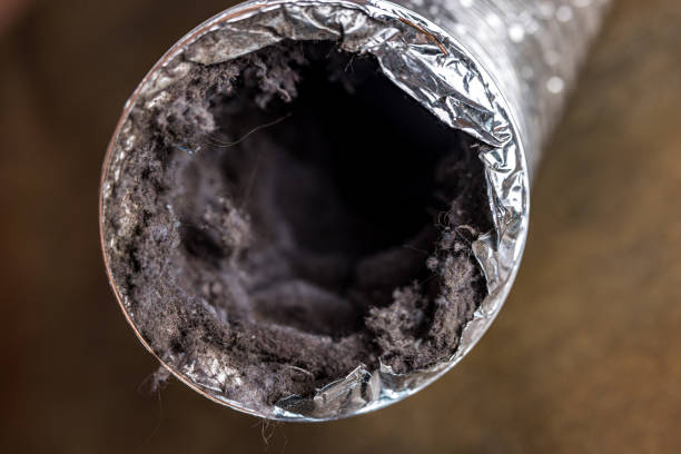 Best HVAC Air Duct Cleaning  in Mount Hermon, VA